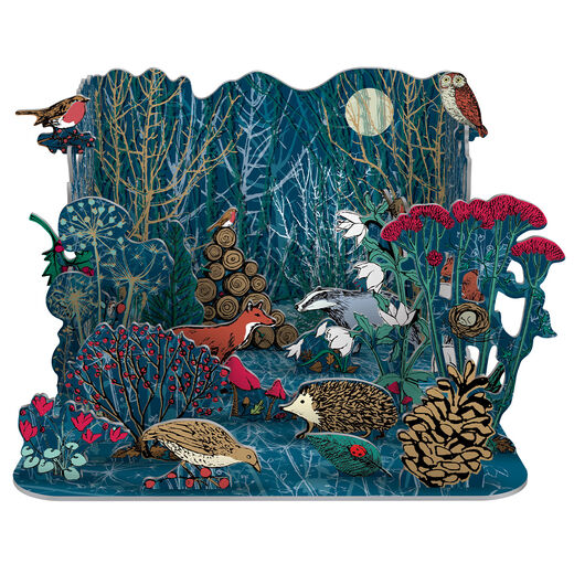Winter's Tale advent calendar by Roger La Borde